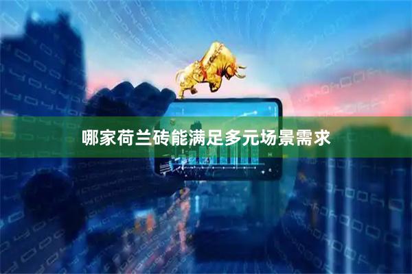 哪家荷兰砖能满足多元场景需求