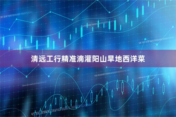 清远工行精准滴灌阳山旱地西洋菜